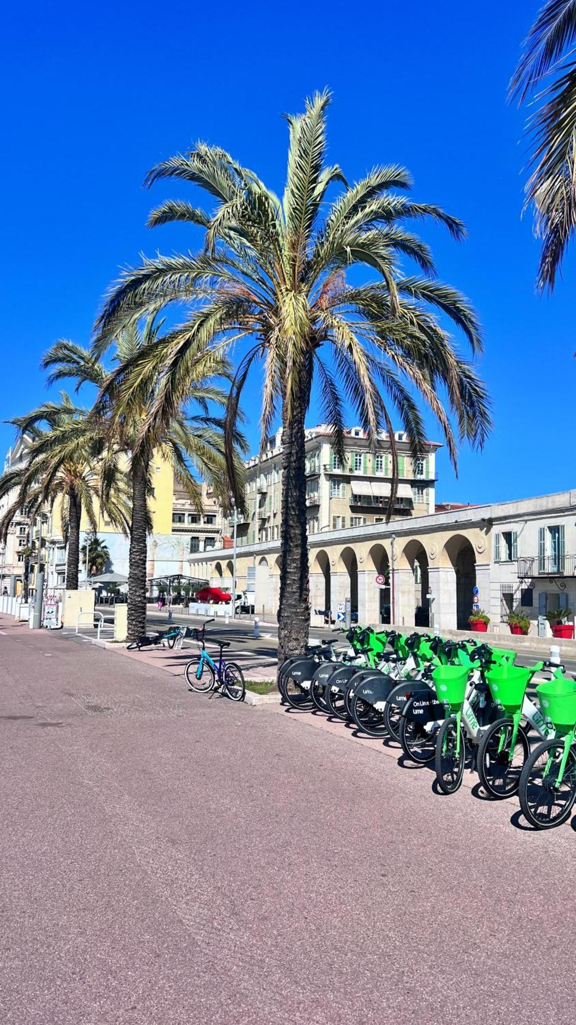 דירות L'Arche Du Vieux ניס מראה חיצוני תמונה